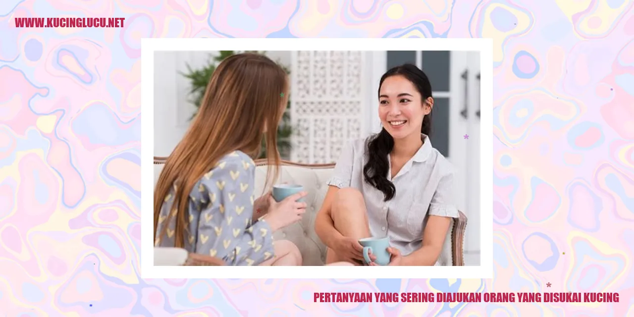 Pertanyaan-pertanyaan yang Sering Diajukan oleh Orang yang Menyukai Kucing