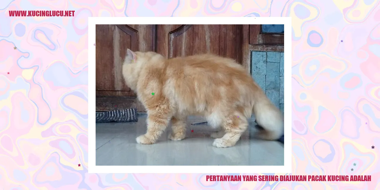 Pertanyaan yang sering diajukan tentang pacak kucing