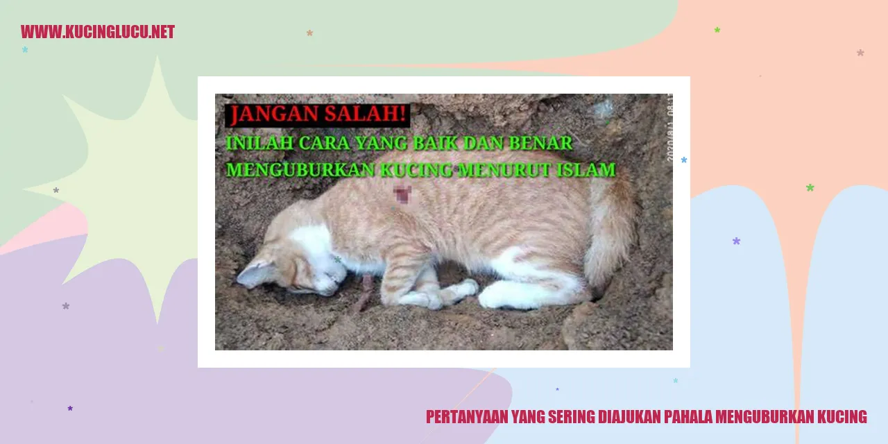 Pertanyaan yang Sering Ditanyakan seputar Penguburan Kucing