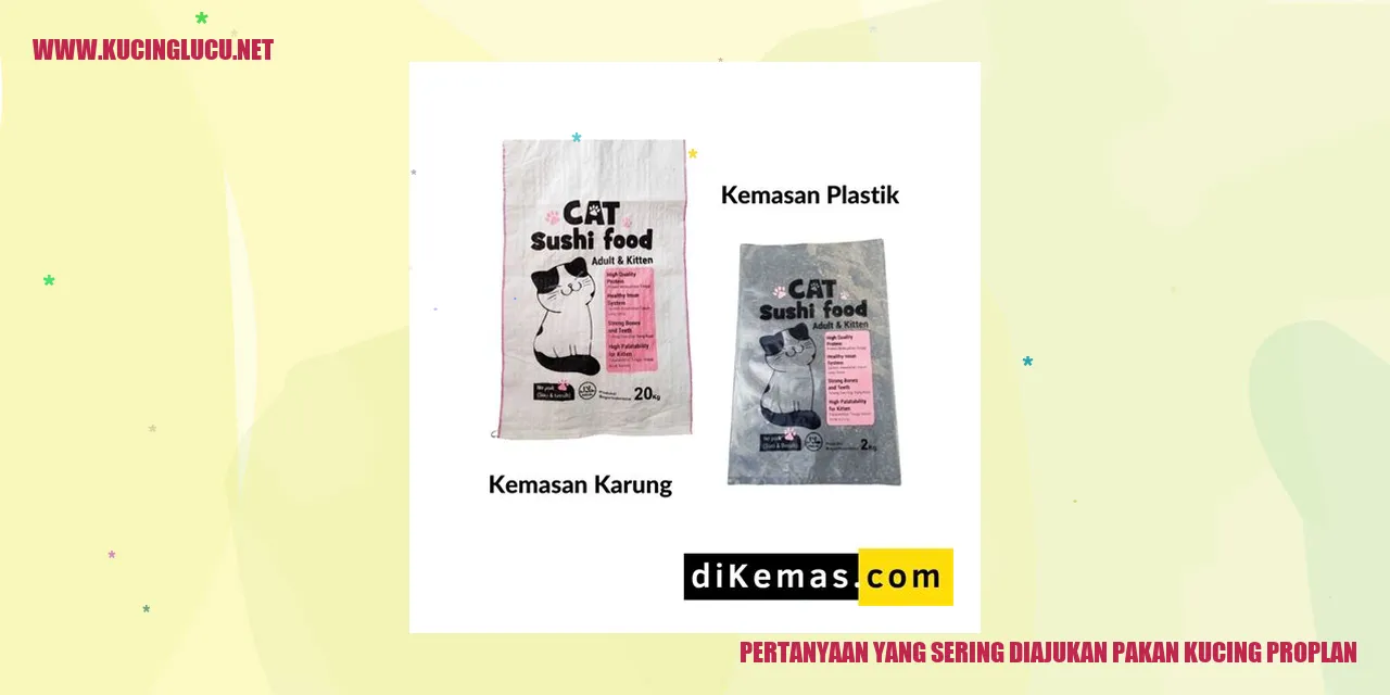 Gambar Kucing