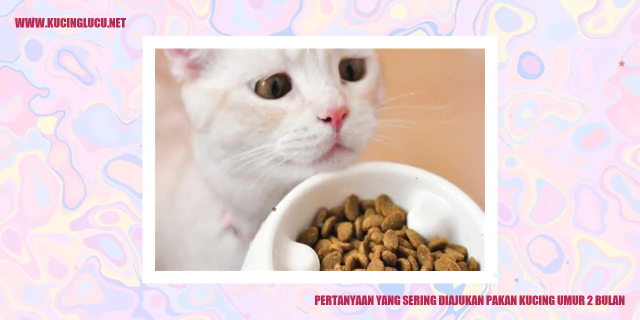 Pakan Kucing Umur 2 Bulan