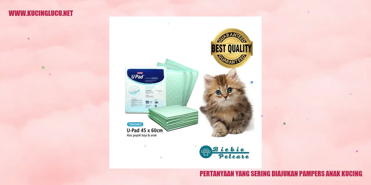 pertanyaan tentang pampers untuk anak kucing
