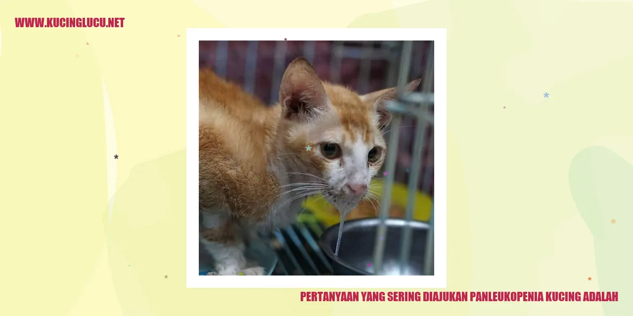 gambar pertanyaan