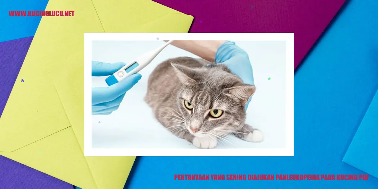Gambar Kucing