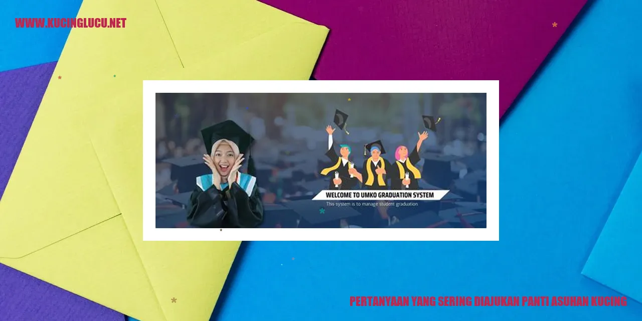 Pertanyaan yang Sering Diajukan Panti Asuhan Kucing