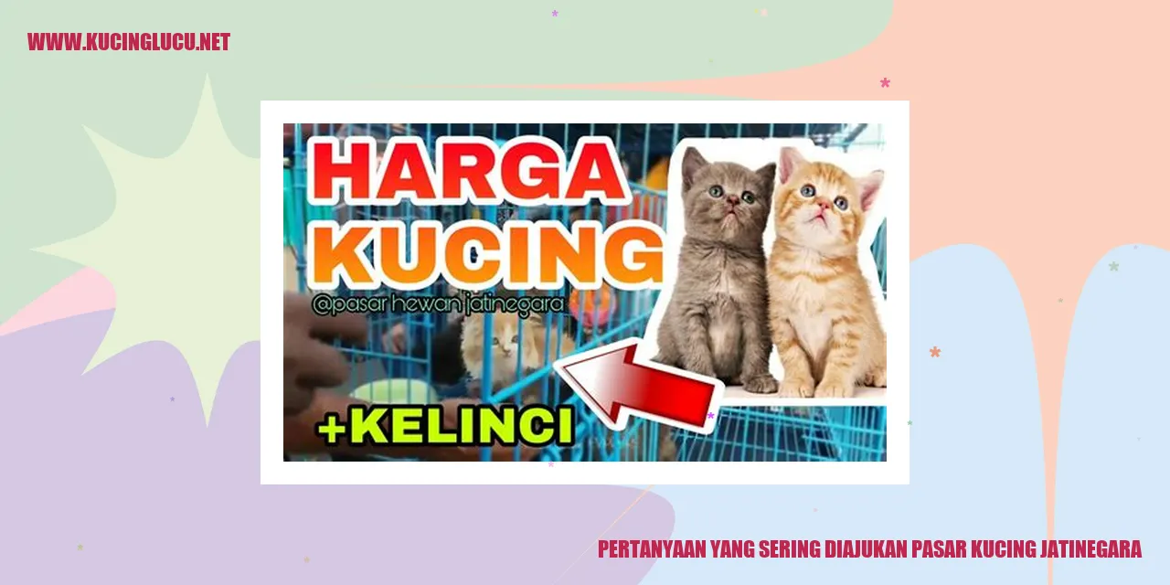 Gambar pasar kucing Jatinegara