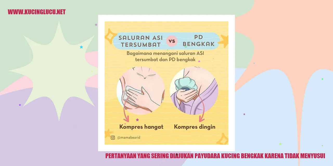 Kucing dengan payudara bengkak