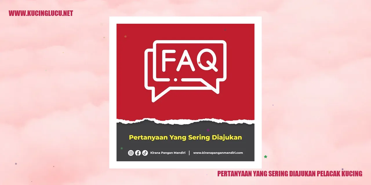 Gambar kucing mengherankan