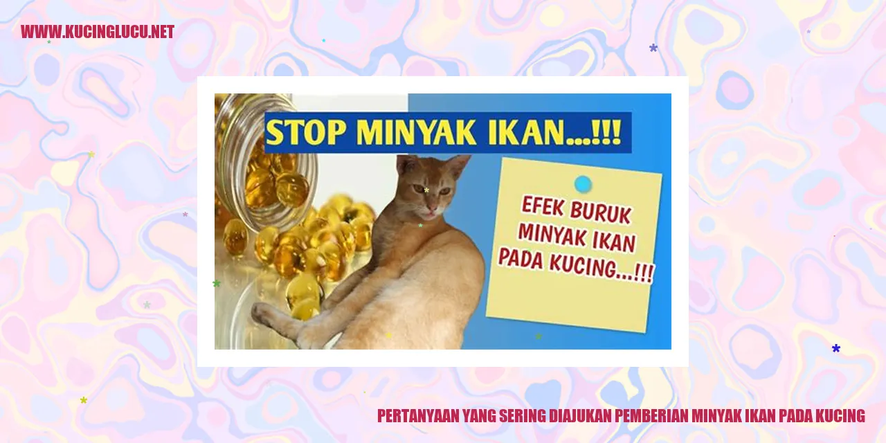 Minyak Ikan pada Kucing