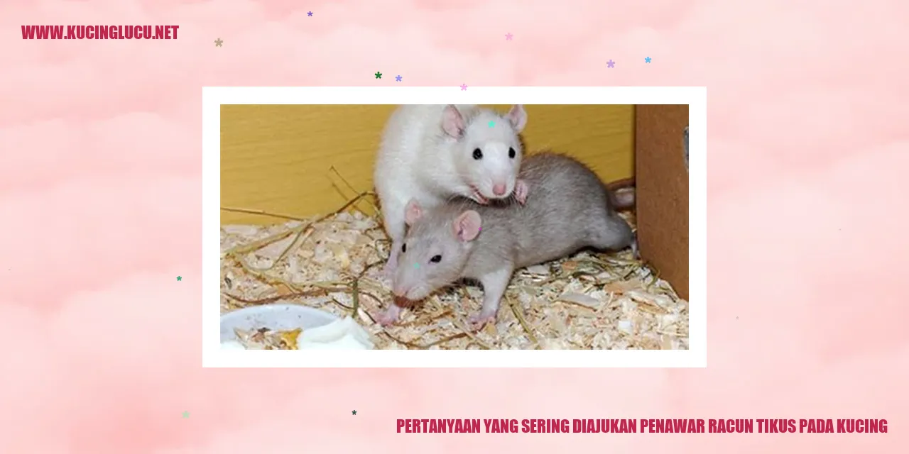 Gambar Pertanyaan yang Sering Ditanyakan