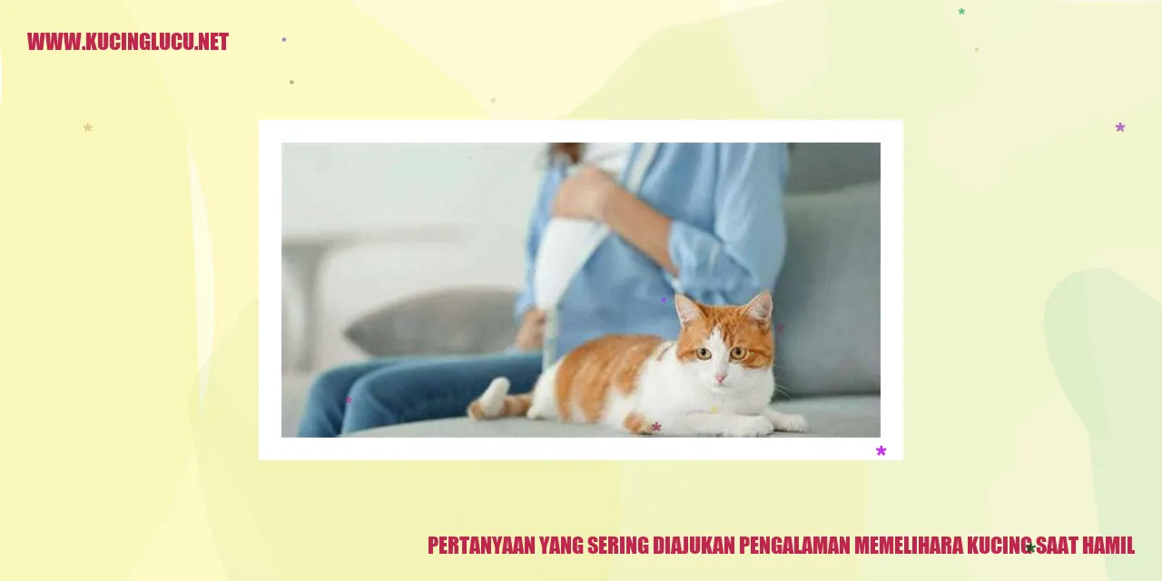 Pertanyaan yang Sering Diajukan Mengenai Pengalaman Memelihara Kucing saat Hamil