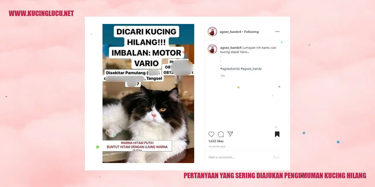 Pertanyaan yang Sering Diajukan tentang Kucing Hilang