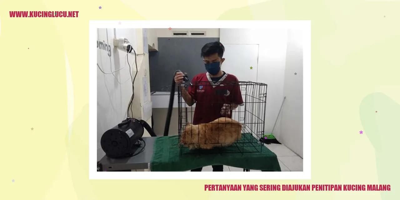 Pertanyaan yang Sering Diajukan tentang Penitipan Kucing di Malang