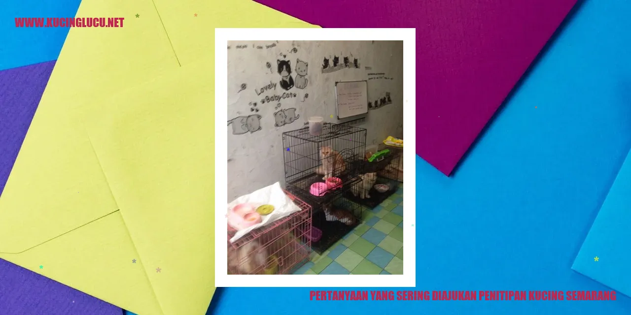 Pertanyaan yang Sering Diajukan tentang Penitipan Kucing di Semarang