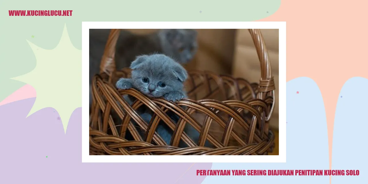 Ilustrasi Penitipan Kucing