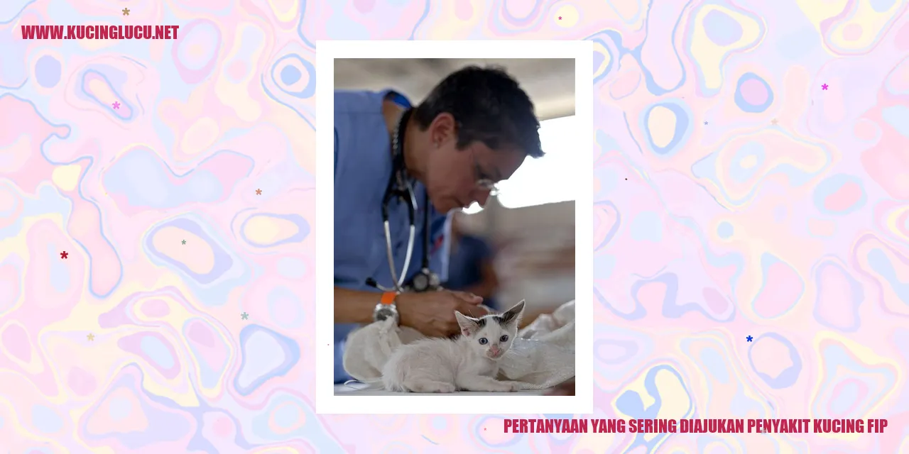 Pertanyaan yang Sering Diajukan tentang Penyakit Kucing FIP