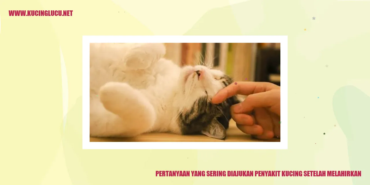 Ibu kucing dan anak-anaknya