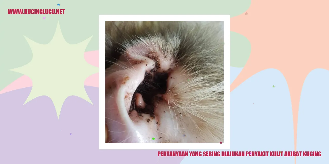 Pertanyaan yang Sering Diajukan tentang Penyakit Kulit Akibat Kucing