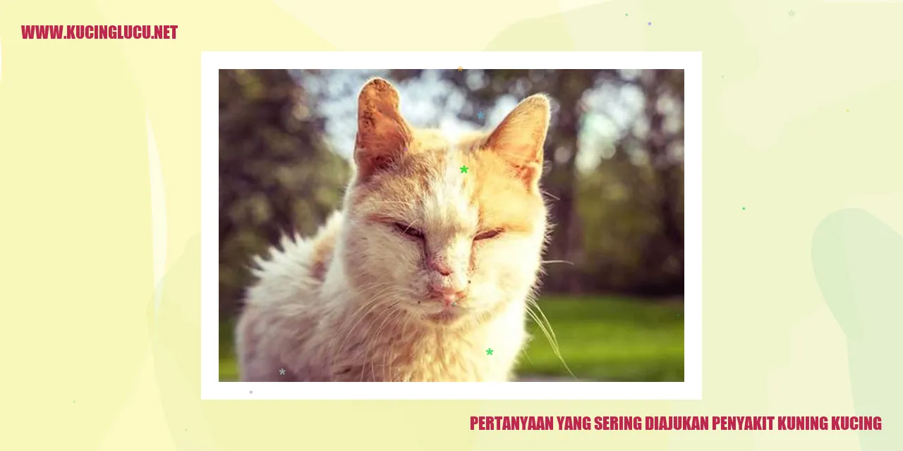 Pertanyaan yang Sering Diajukan penyakit kuning kucing