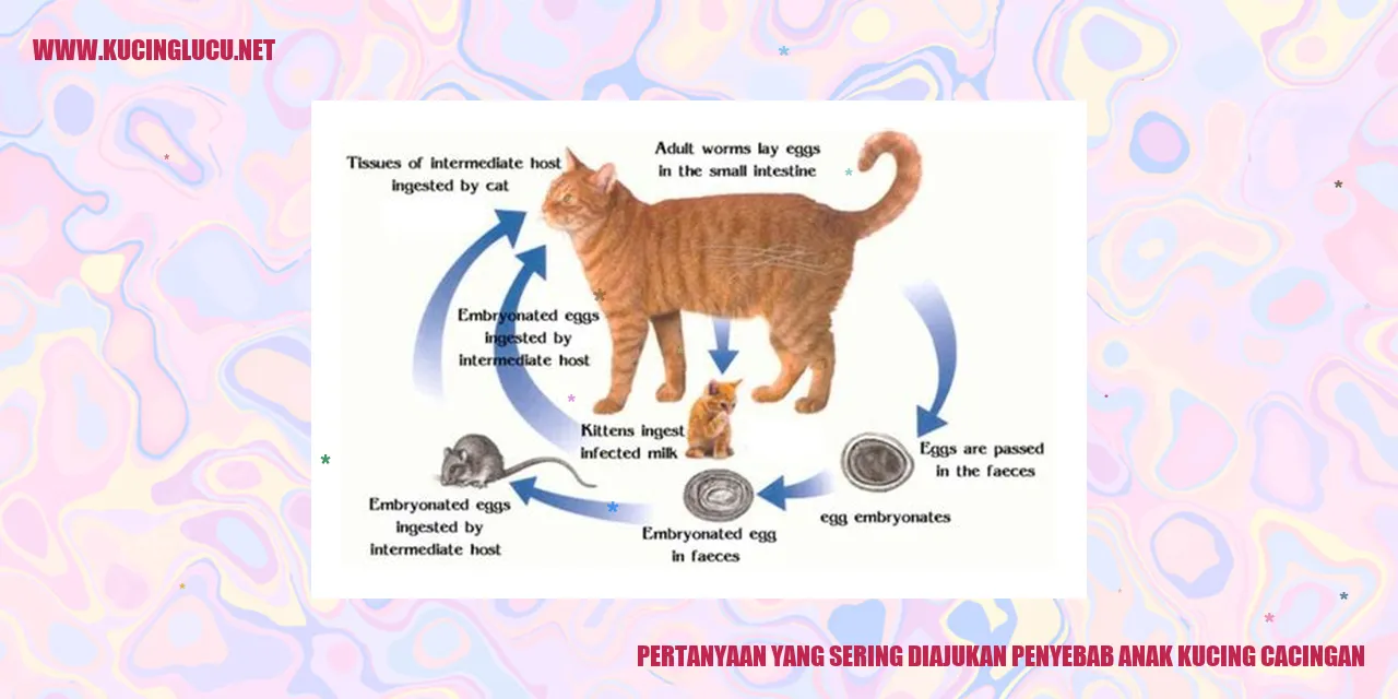 Gambar Kucing Cacingan
