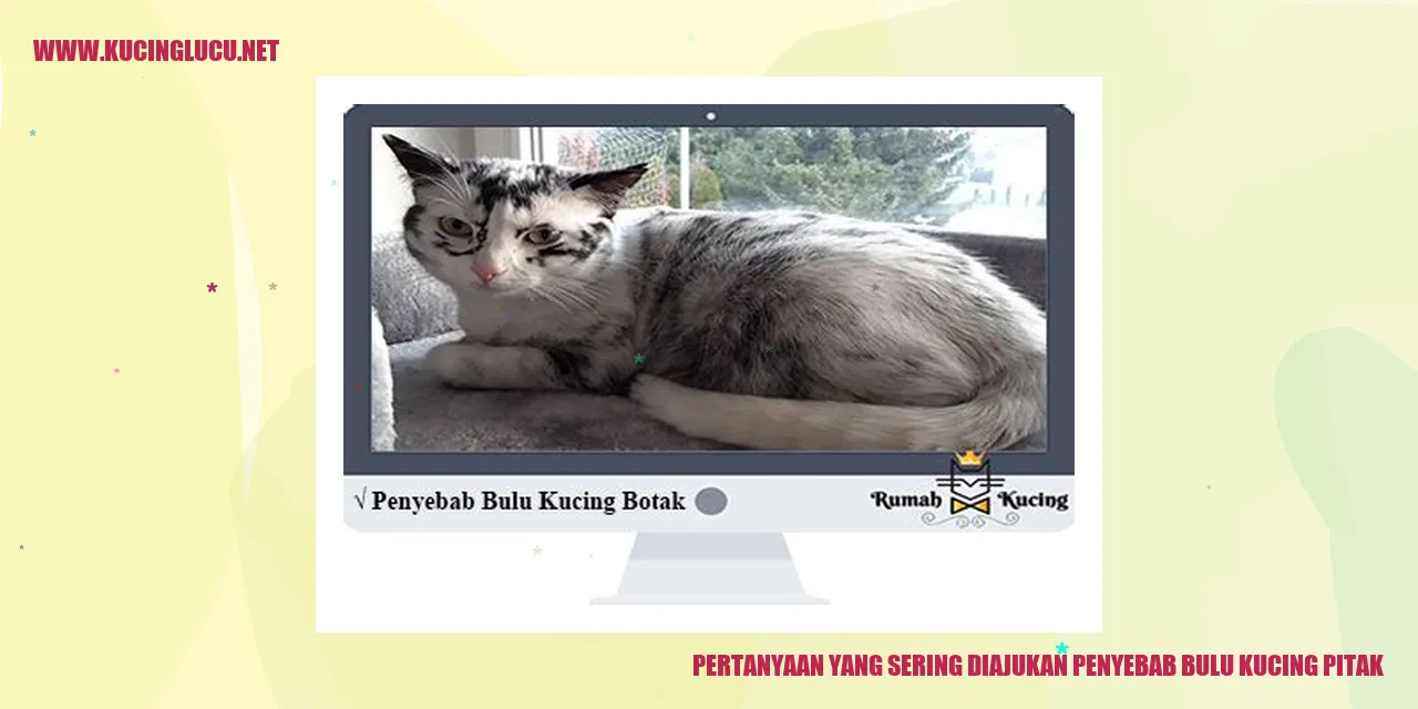 gambar kucing pitak