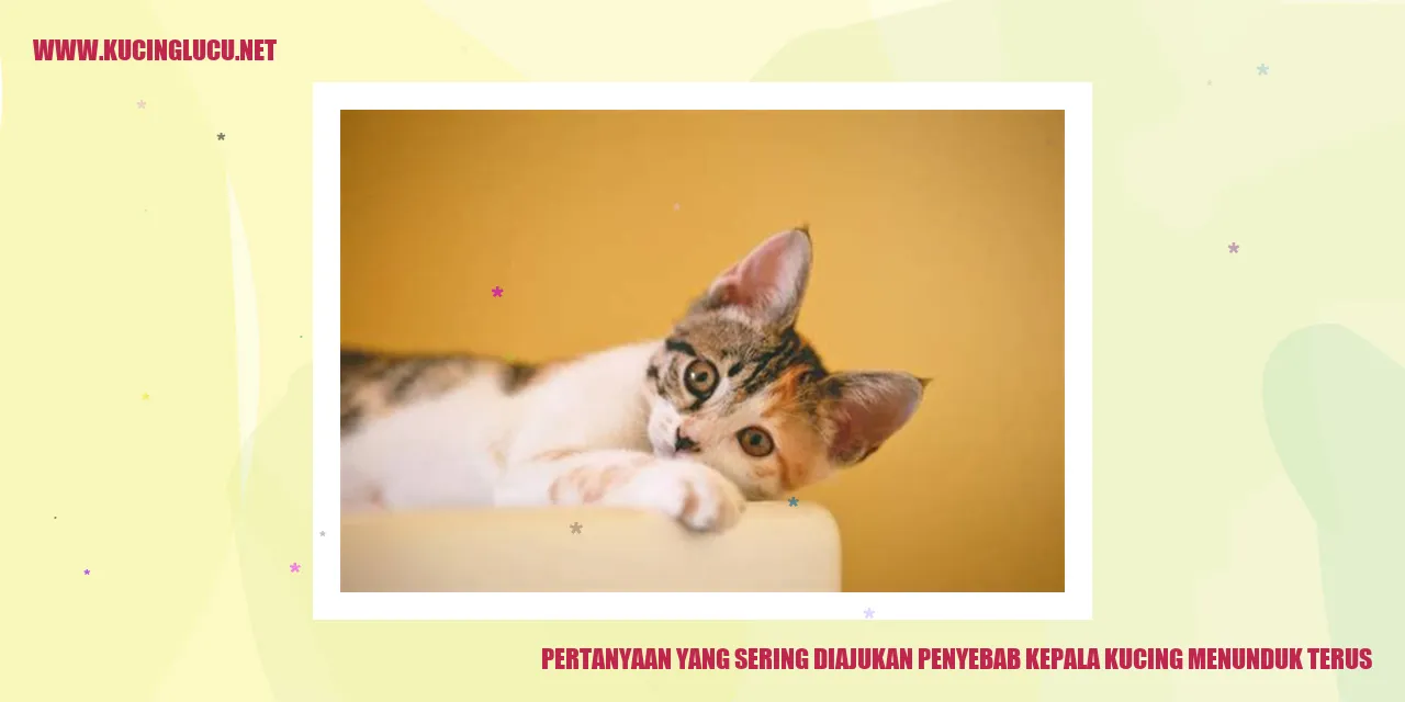 Gambar kucing dengan kepala menunduk