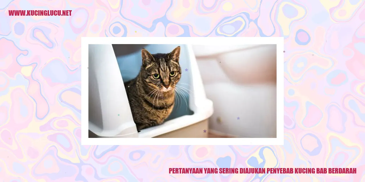 Ilustrasi Kucing