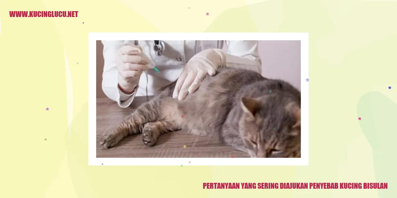 Jerry Si Kucing Bisulan