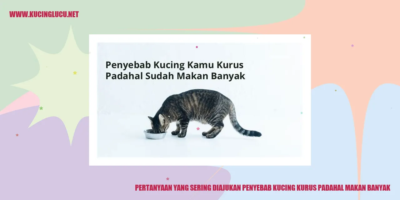 Gambarkucing