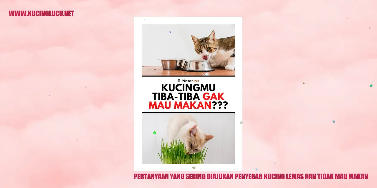 Gambar Kucing Lemas dan Enggan Makan