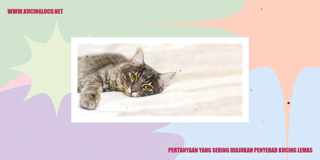 Pertanyaan yang Sering Diajukan Penyebab Kucing Lemas