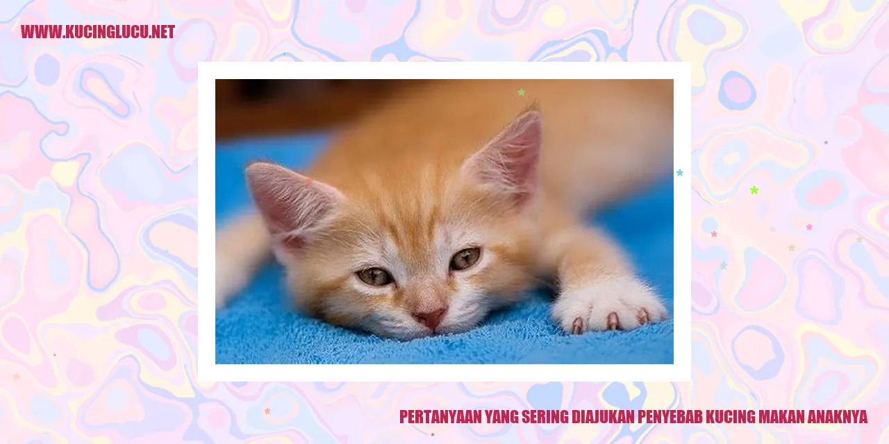 Gambar Kucing dan Anak Kucing