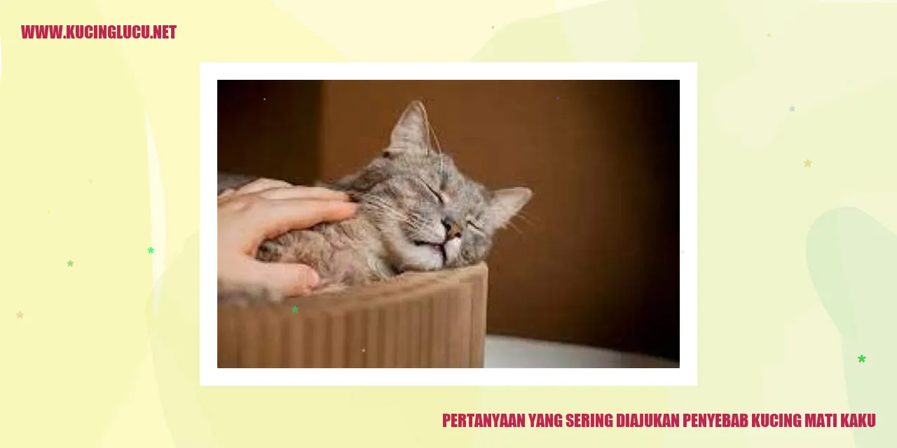 Pertanyaan yang Sering Diajukan penyebab kucing mati kaku