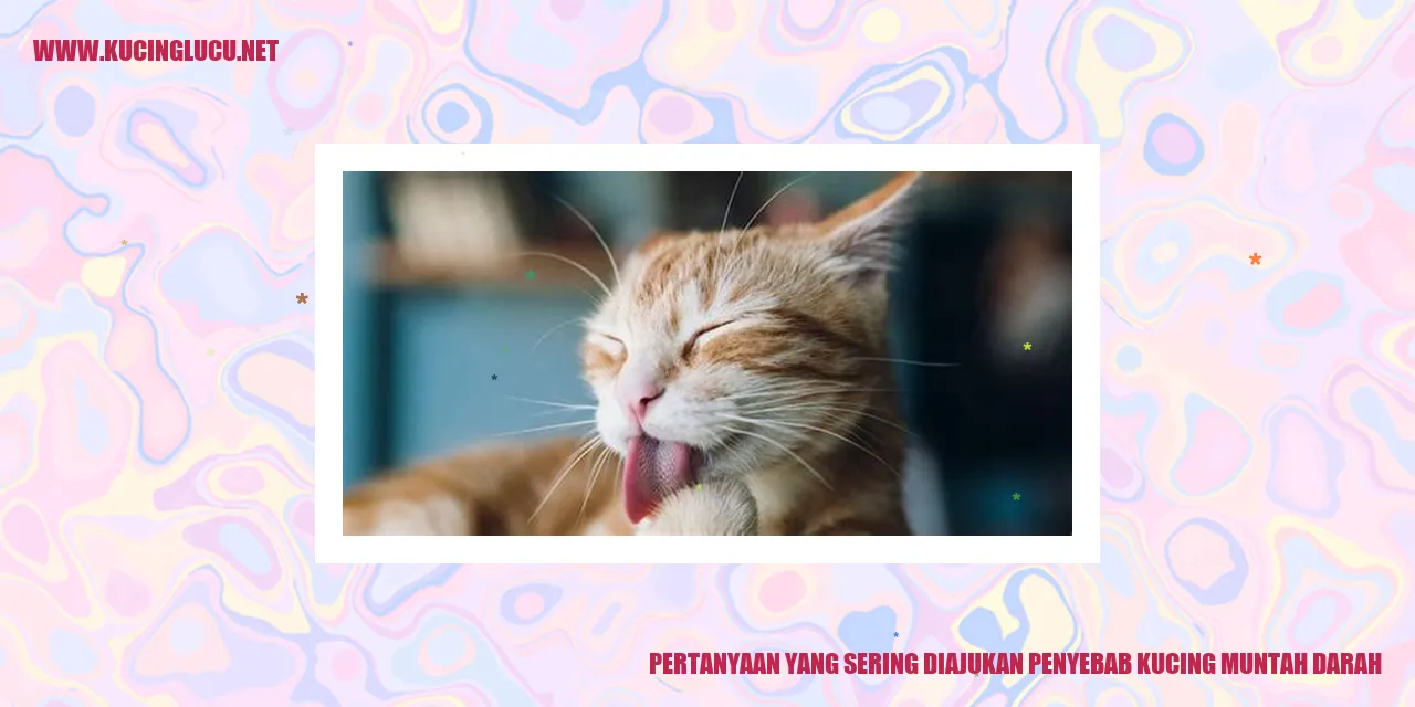 Pertanyaan yang Sering Diajukan penyebab kucing muntah darah