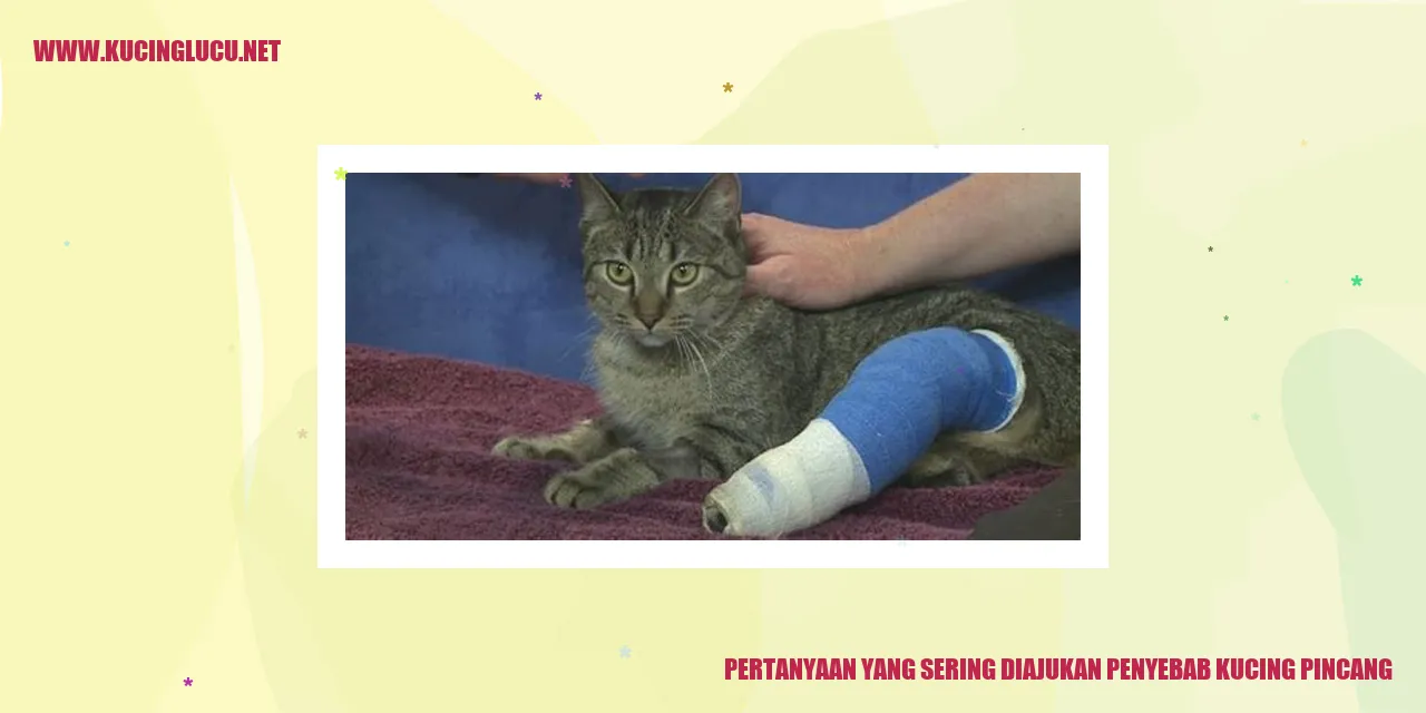 Kucing pincang