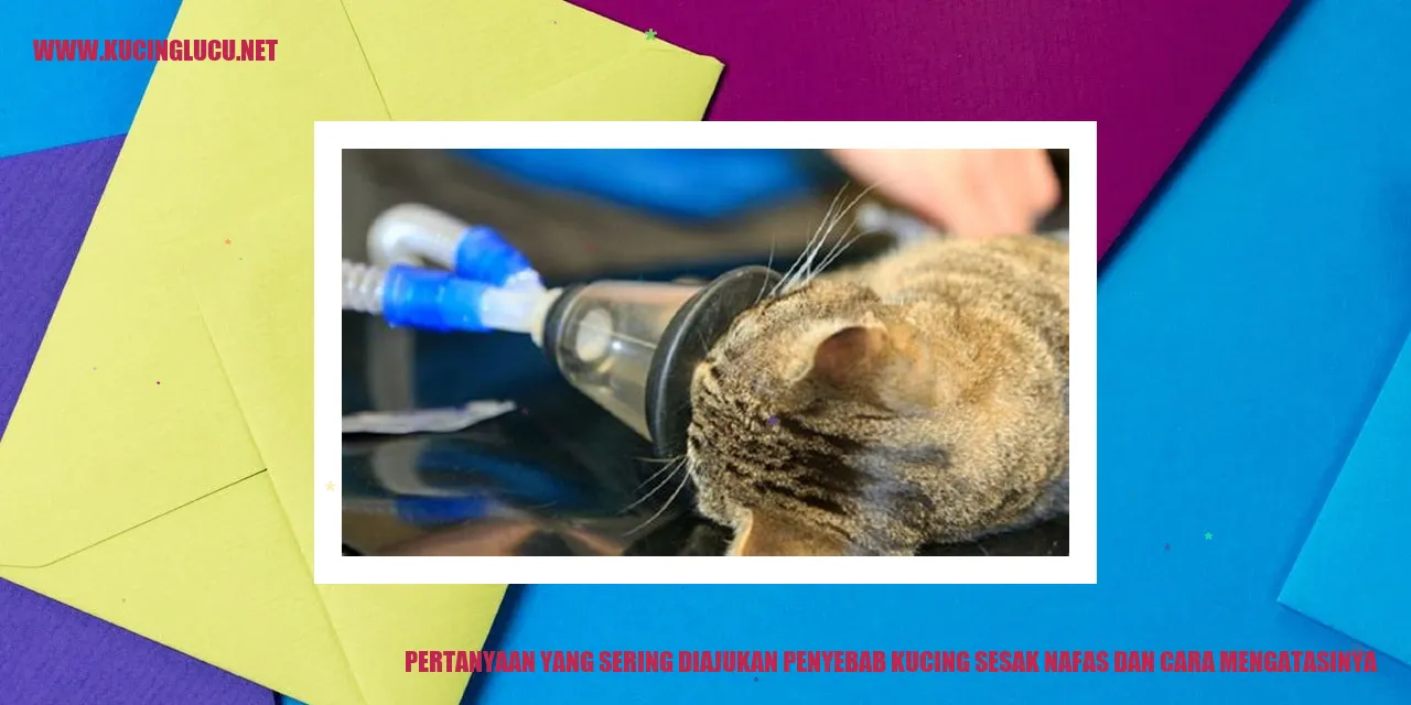 Kucing Sesak Nafas