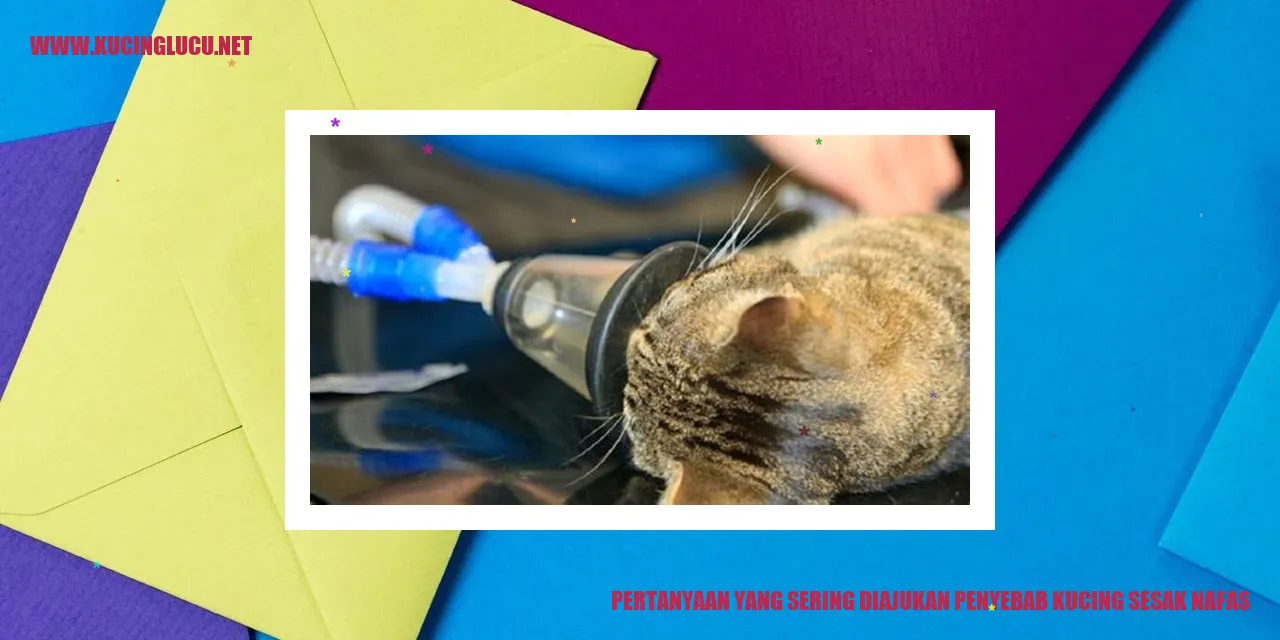 Ilustrasi kucing sesak nafas