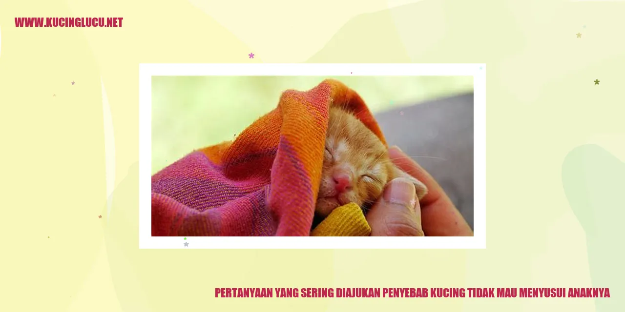 Gambar Kucing tidak Mau Menyusui Anaknya