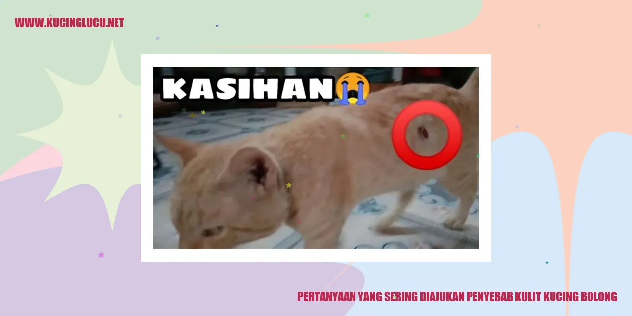 Ilustrasi kucing dengan kulit bermasalah