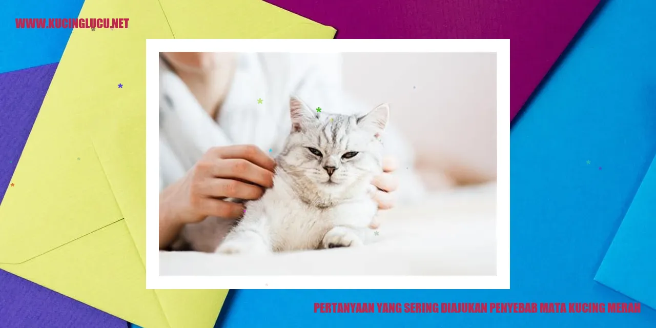 Mata Kucing Merah