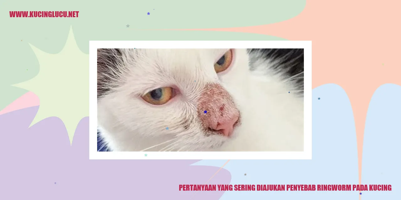 Kucing dengan ringworm