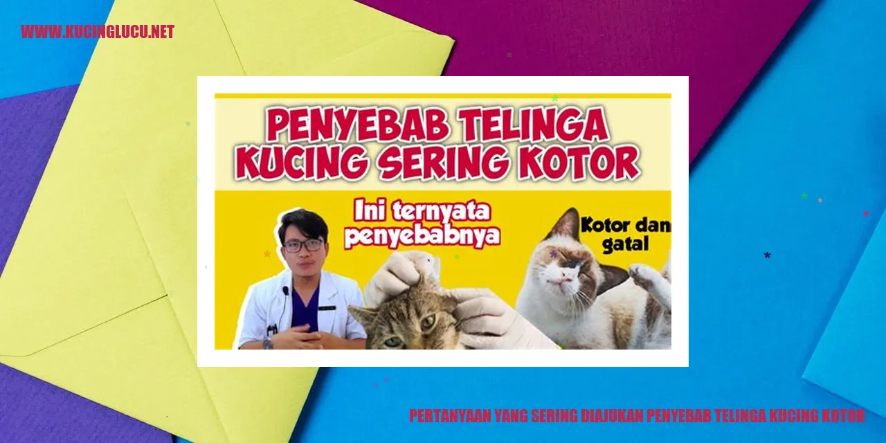 Gambar Telinga Kucing Kotor