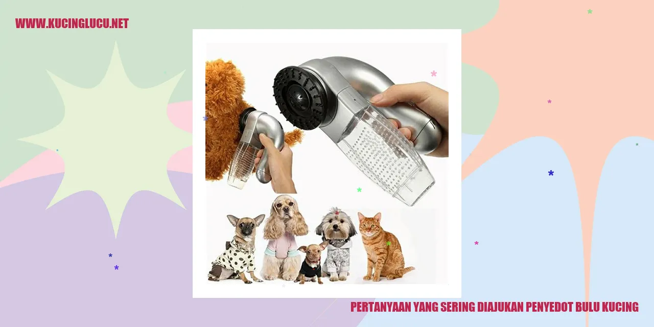Ilustrasi penyedot bulu kucing