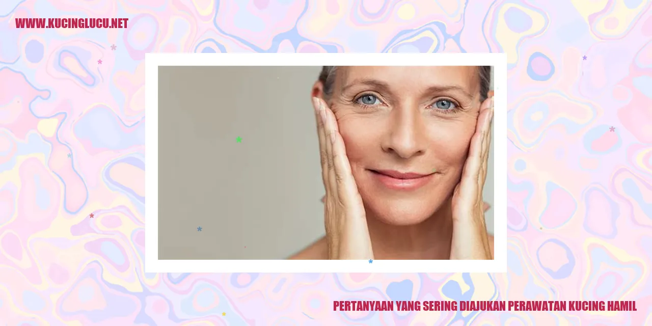 Perawatan Kucing Hamil