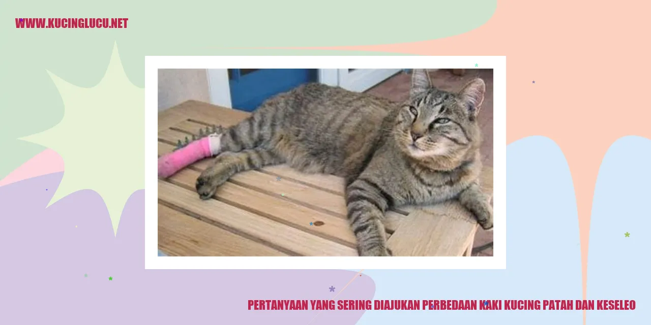 Ilustrasi kaki kucing
