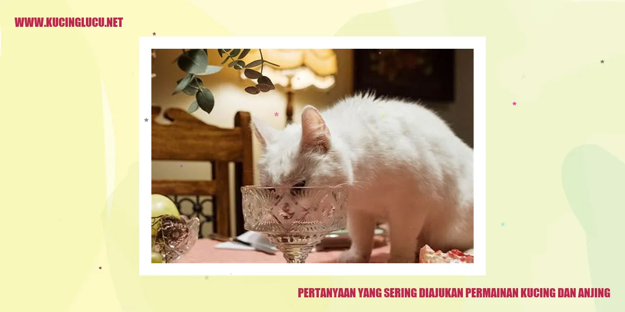 Gambar kucing dan anjing