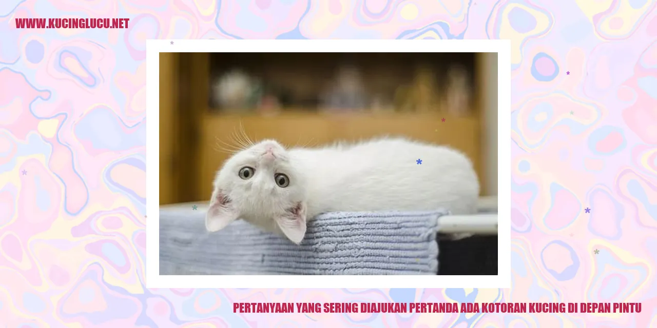 Kucing di depan pintu