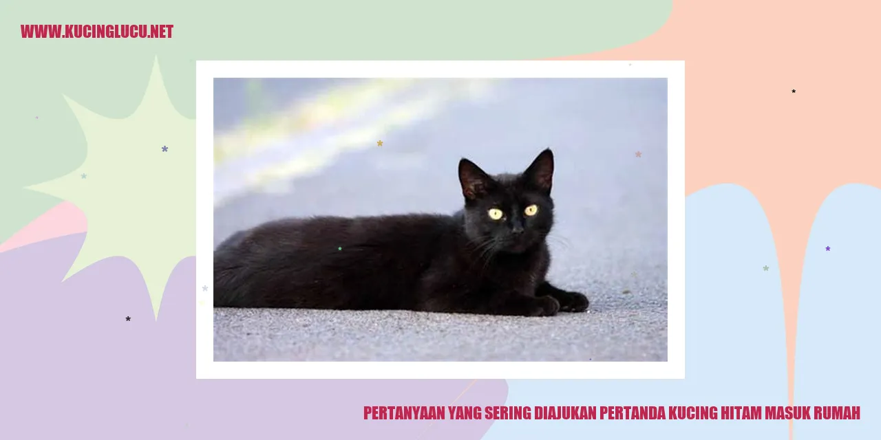 Pertanyaan yang Sering Diajukan pertanda kucing hitam masuk rumah