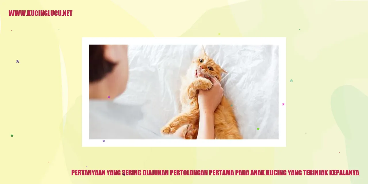 Anak kucing terinjak kepalanya