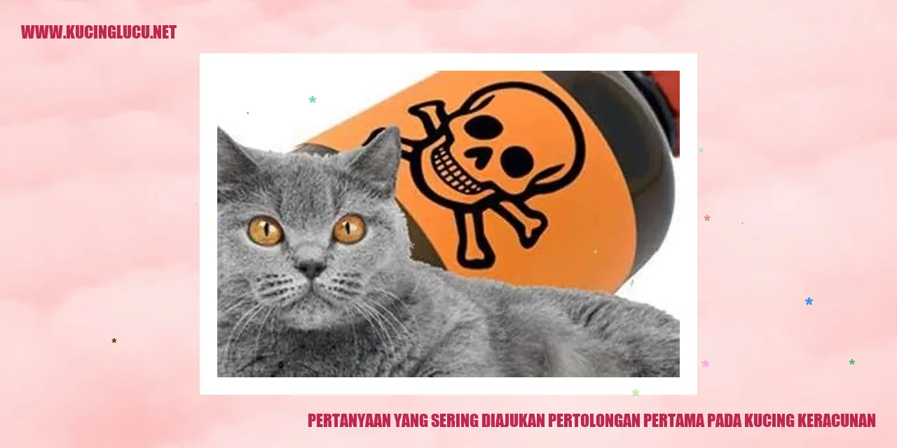 Kucing keracunan
